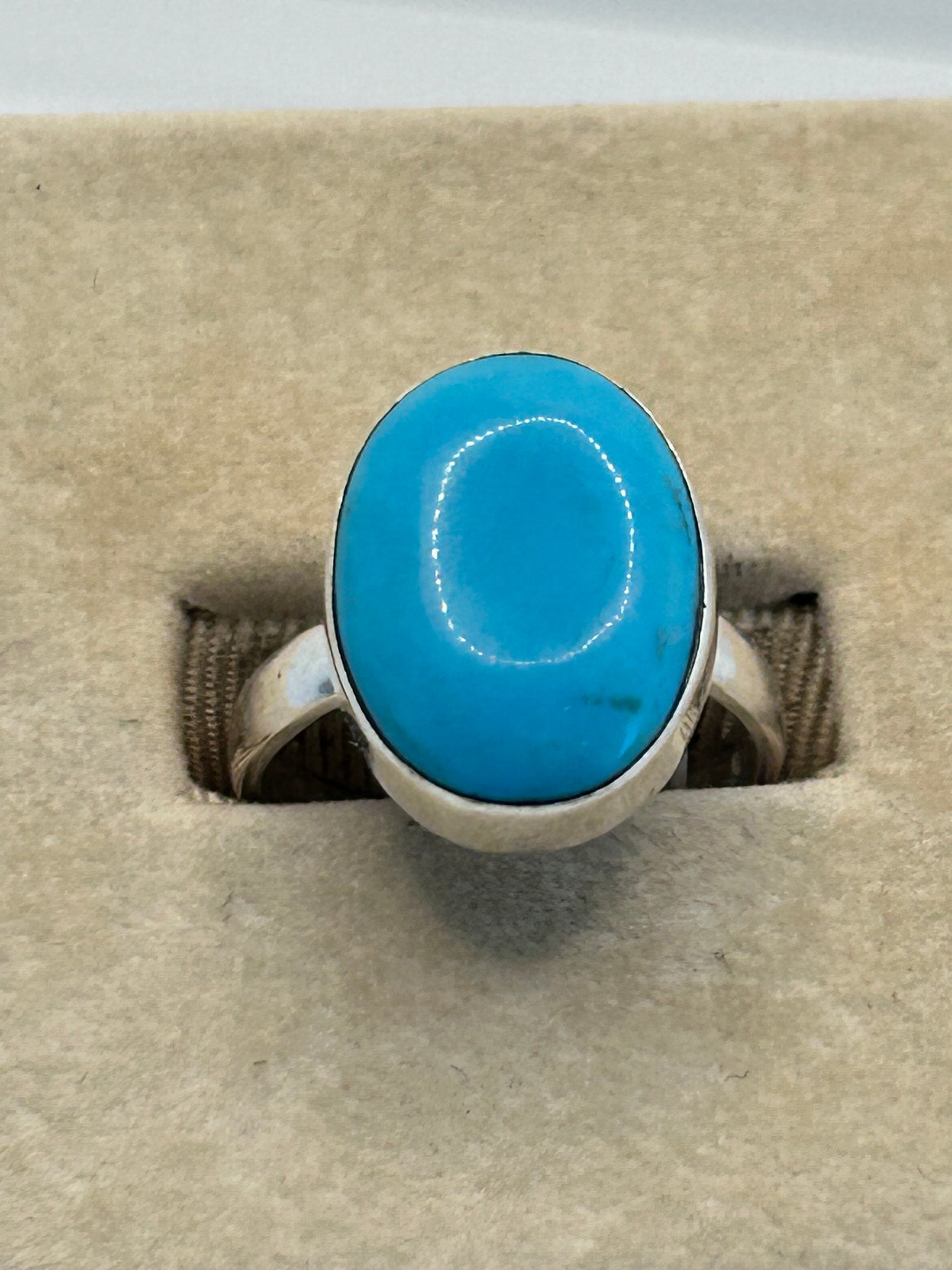 Small Oval Turquoise Stone with Subtle Matrix