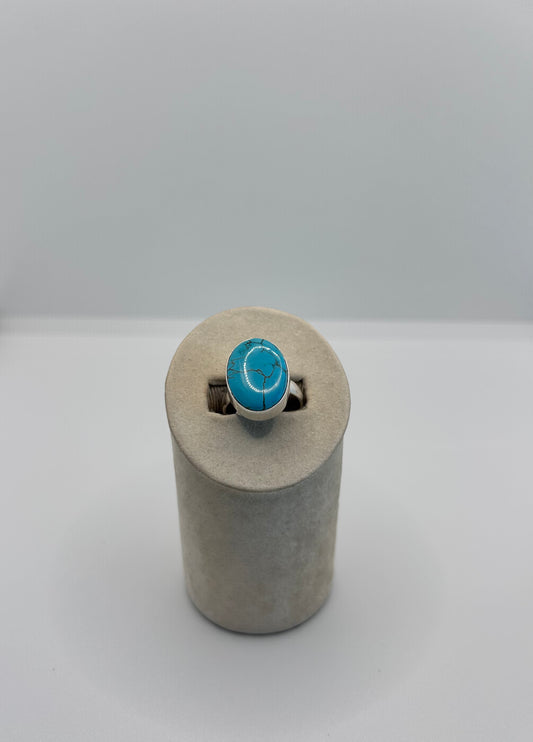 Small Oval Turquoise Stone with Subtle Matrix
