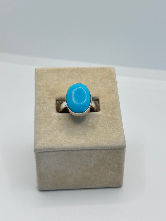 Small Oval Turquoise Stone with Subtle Matrix