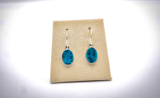 Arizona Turquoise Oval Earrings